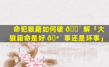 命犯狼藉如何破 🌴 解「大狼籍命是好 🪴 事还是坏事」